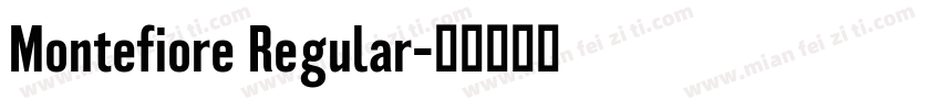 Montefiore Regular字体转换